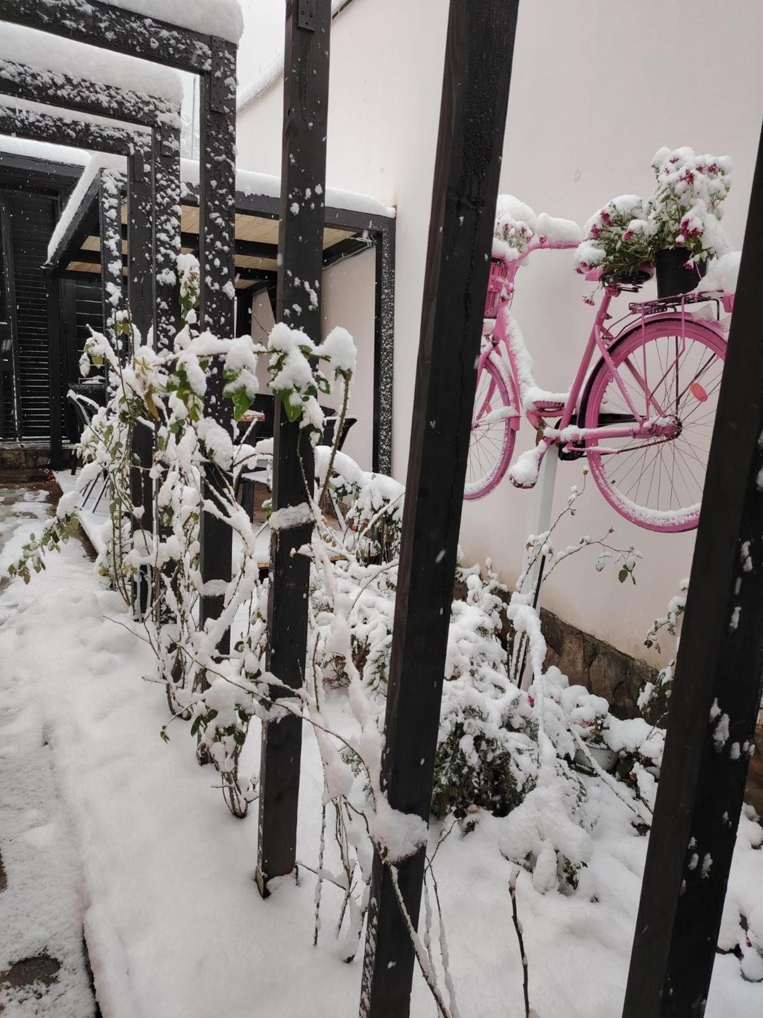 Casa Anne Boutique Hotel Brasov Exterior photo